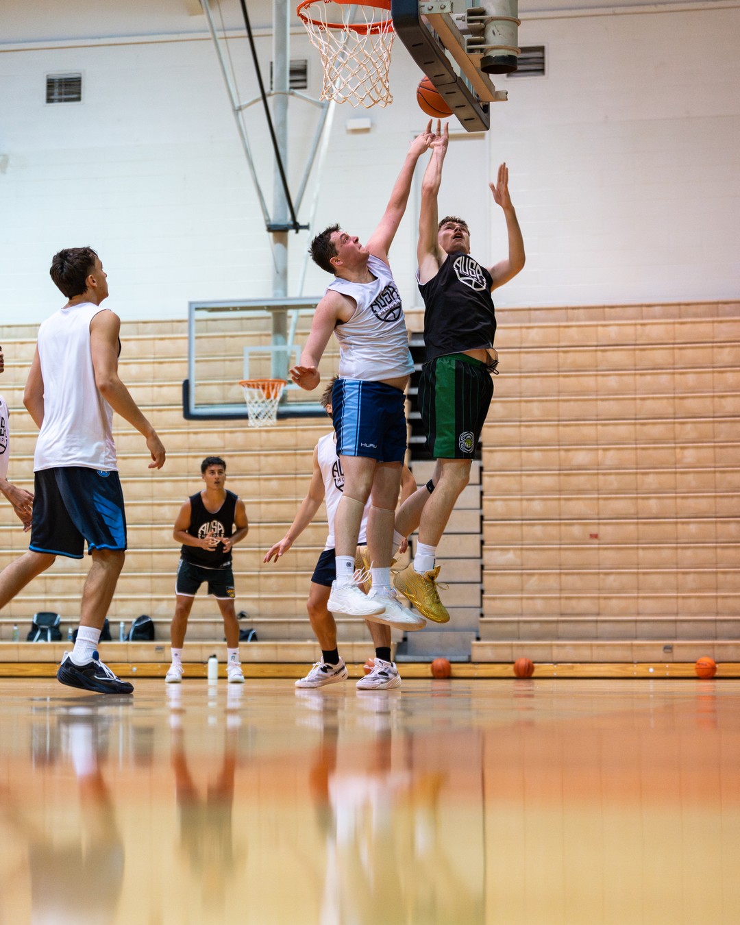 Alex Coppa Commits to Park University Men's Basketball, graphic