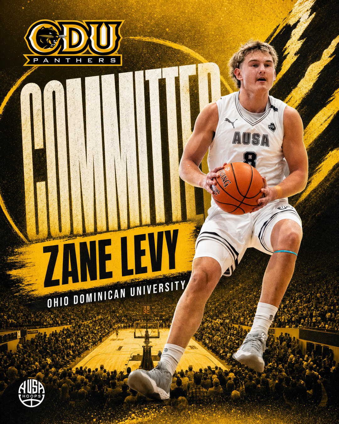 Zane Levy Commits to Ohio Dominican University, commitment graphic